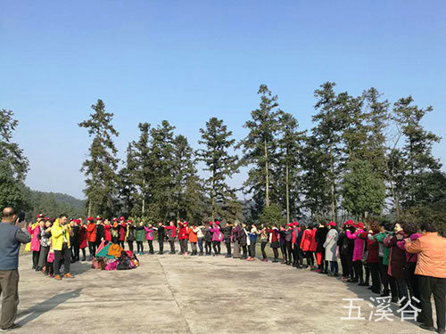 活動(dòng)案列4